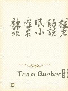 被催眠的校花高莜柔小说免费阅读