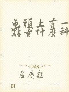 龟头上有一排红点看什么科