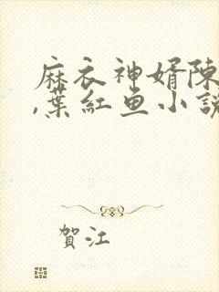 麻衣神婿陈黄皮,叶红鱼小说