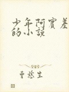 少年阿宾差不多的小说封面