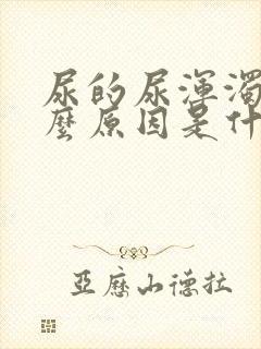 尿的尿浑浊是什么原因是什么封面