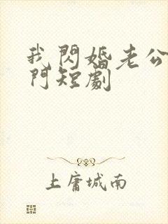 我闪婚老公是豪门短剧