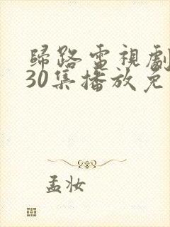 归路电视剧全集30集播放免费观看封面