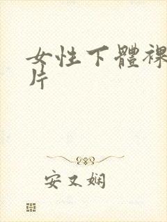 女性下体裸体照片