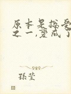 原本是总受的攻之一,变成了受的小说
