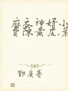 麻衣神婿小说免费陈黄皮,叶红鱼