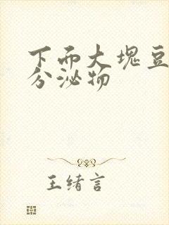 下面大块豆腐渣分泌物