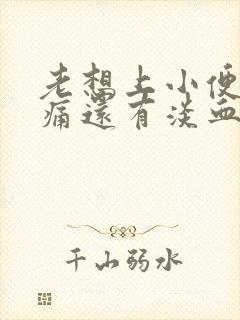 老想上小便有点痛还有淡血水