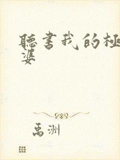 听书我的极品老婆