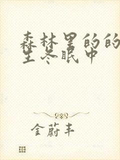 森林里的的熊先生冬眠中