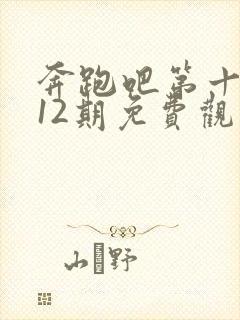 奔跑吧第十季第12期免费观看