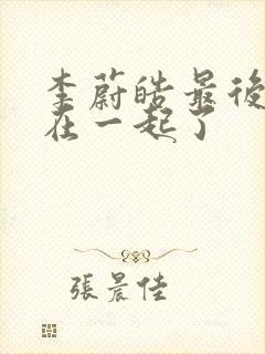 李蔚皓最后和谁在一起了封面