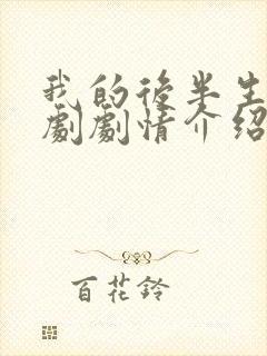 我的后半生电视剧剧情介绍