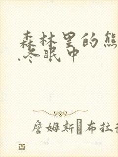 森林里的熊先生.冬眠中封面