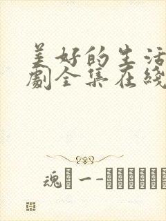 美好的生活电视剧全集在线观看免费