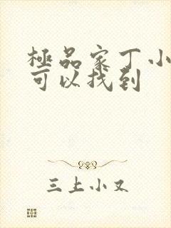 极品家丁小说哪可以找到封面