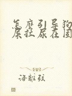 怎么引导狗狗拉屎拉尿在固定的地方