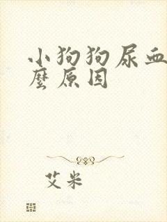 小狗狗尿血是什么原因