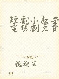 短剧小叔子嫂子电视剧免费观看全集封面