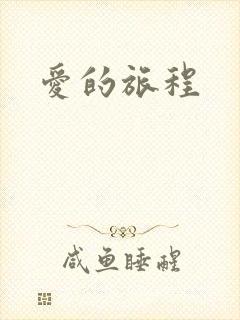 爱的旅程