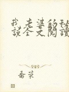 我老婆的秘密小说全文阅读