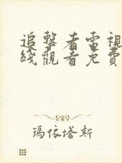 追击者电视剧在线观看免费高清