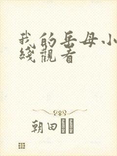 我的岳母小说在线观看