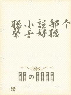 听小说那个软件声音好听