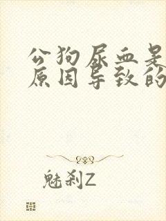 公狗尿血是什么原因导致的怎么办封面