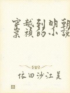 穿越到明朝成为崇祯的小说封面