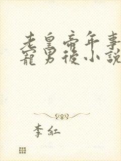 老皇帝年事已高宠男后小说