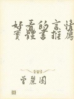 好看的言情小说实体书推荐封面