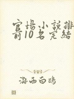 官场小说排行榜前10名完结封面