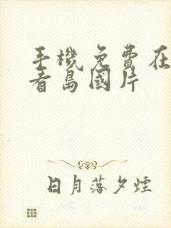 手机免费在线观看岛国片