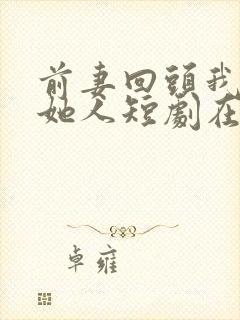 前妻回头我已娶她人短剧在线观看