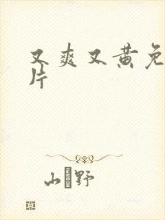 又爽又黄免费毛片