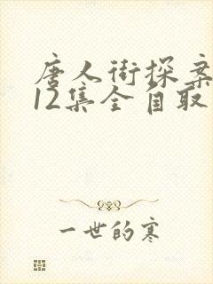 唐人街探案网剧12集全自取封面