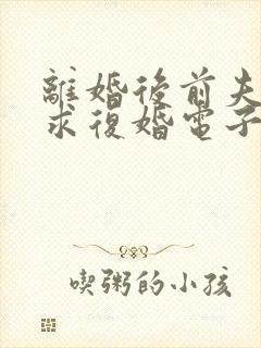 离婚后前夫哭着求复婚电子书阅读