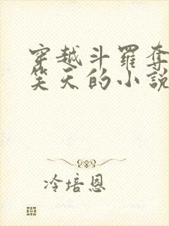穿越斗罗夺舍风笑天的小说