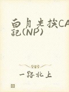 白月光挨CAO记(NP)