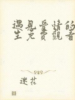 遇见爱情的利先生免费观看