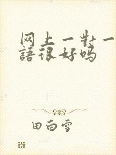 网上一对一学英语很好吗