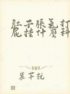 肚子胀气打嗝放屁挂什么科封面