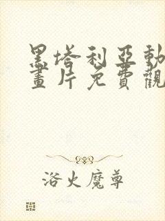 黑塔利亚动漫动画片免费观看