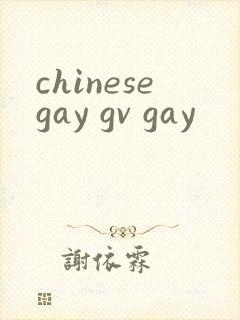 chinesegay gv gay