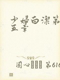 少妇白洁第二十五章