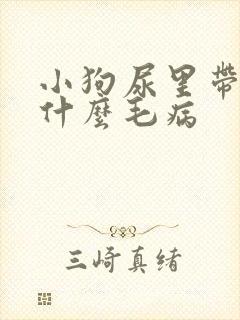 小狗尿里带血是什么毛病