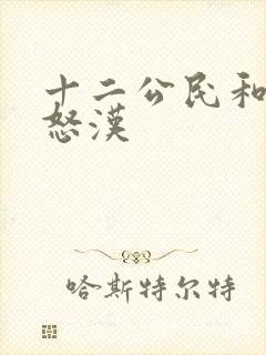 十二公民和十二怒汉封面