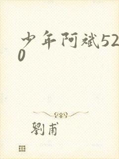 少年阿斌5200封面