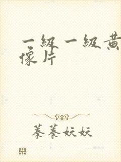 一级一级黄色录像片